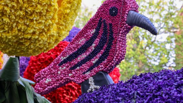  Voorbeeld van een bloemencorso 