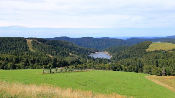 Vue sur le Parc national régional des Ballons des Vosges depuis la Route des Crêtes