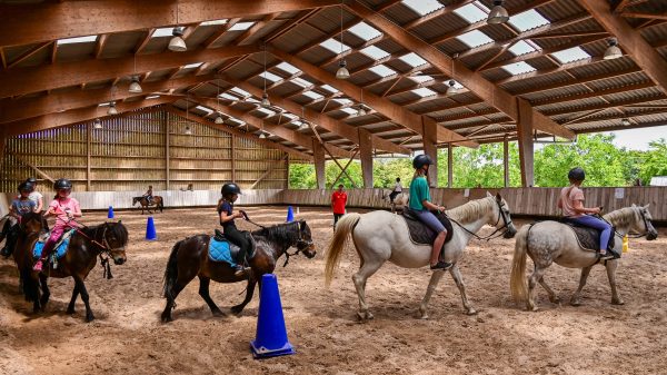 Une leçon d'équitation, au centre équestre du camping Mané Guernehué