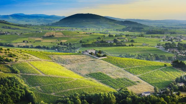 Sunrise over Mont Brouilly hill in the Beaujolais