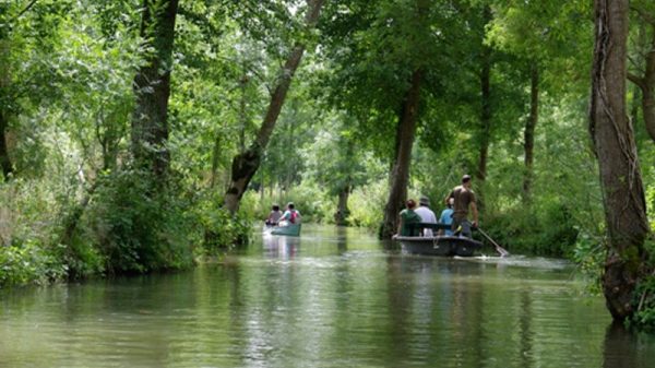 SAS Cardinaud - Mercier