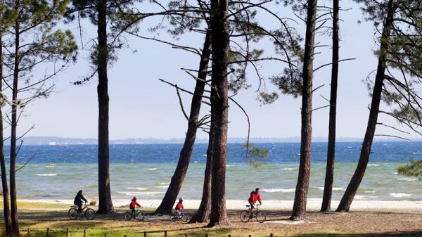 Sur les bords du lac de Biscarosse