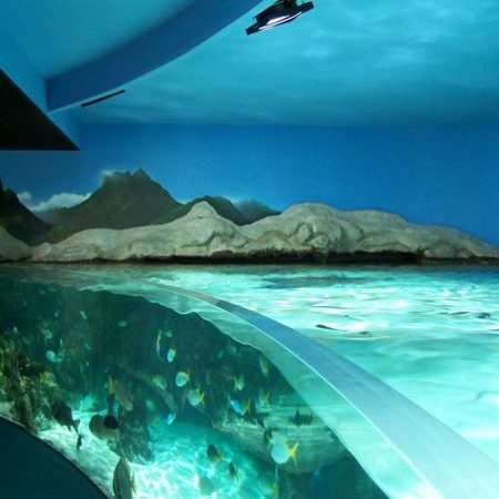 La Rochelle Aquarium