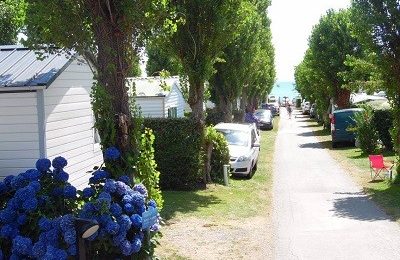 Camping Les Saules à La La Forêt Fouesnant Finistère